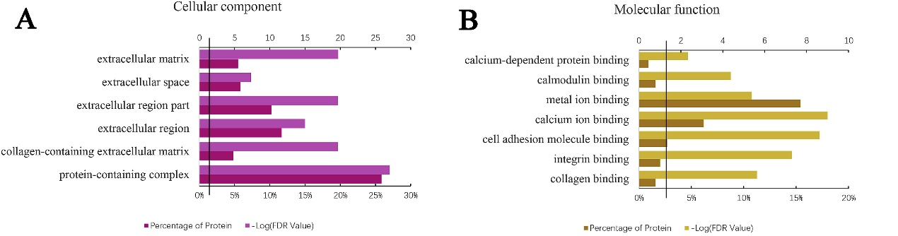 1775789257204537.png 图片6.png