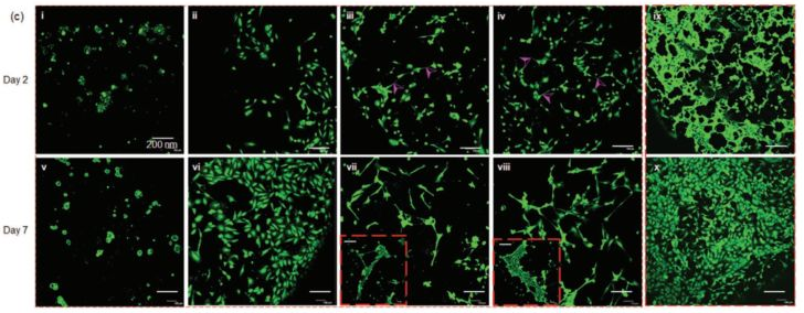 1775789265428535.png 图片7.png