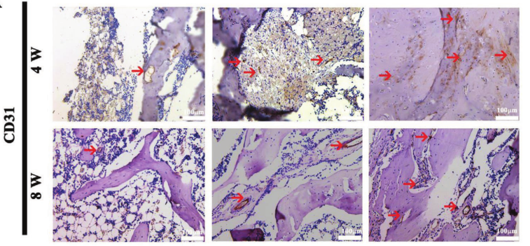 1775789272241459.png 图片8.png