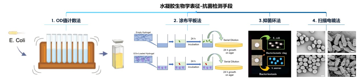 1776234622438910.png 图片1.png