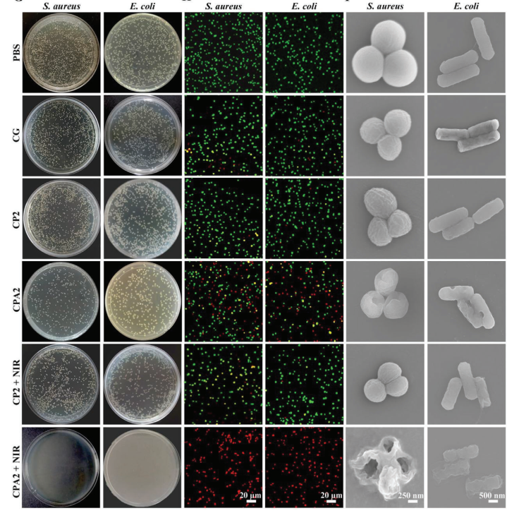 1776234640892251.png 图片3.png