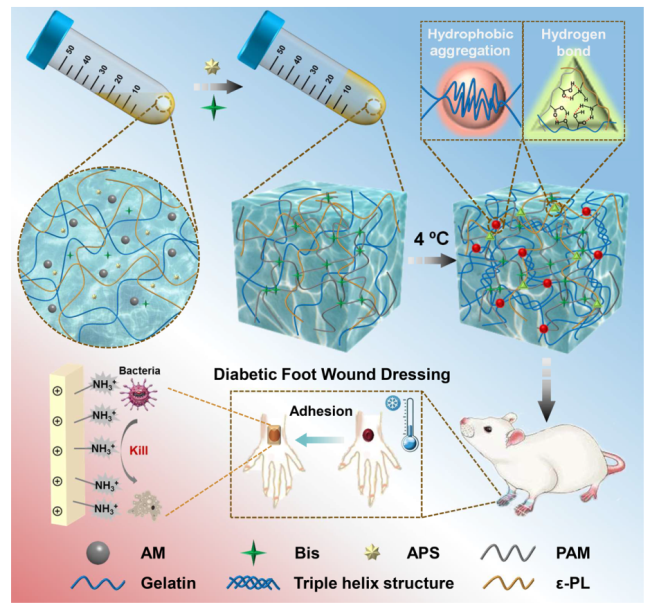 1776234657143085.png 图片4.png