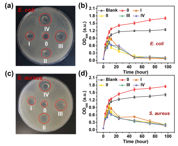1776234669938845.png 图片5.png