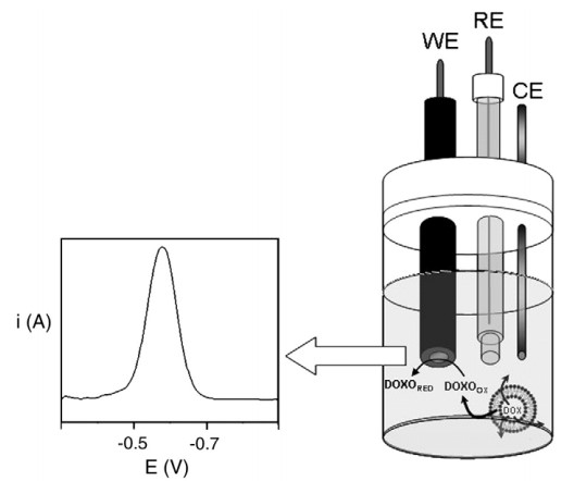 1776235011314790.png 图片2.png