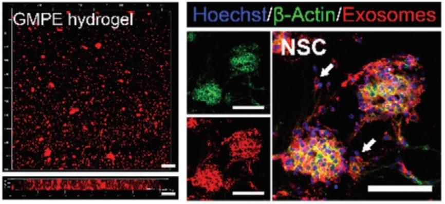 1776235020961842.png 图片3.png