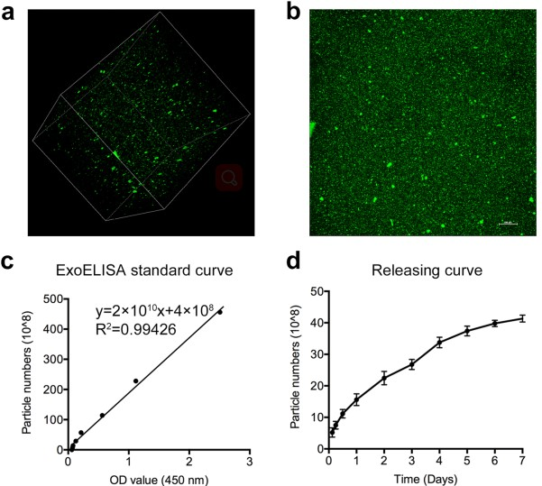 1776235040493049.png 图片5.png