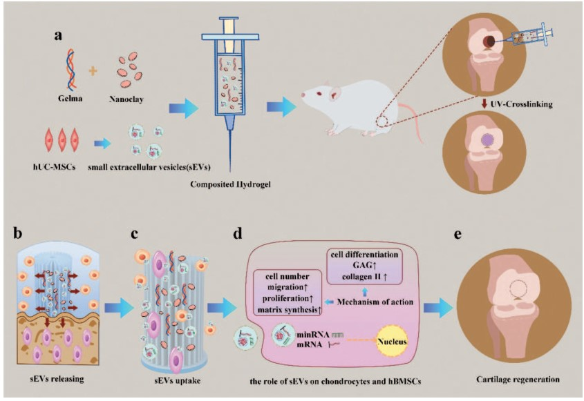 1776235080806721.png 图片8.png