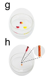 1778291641555589.png 图4.png