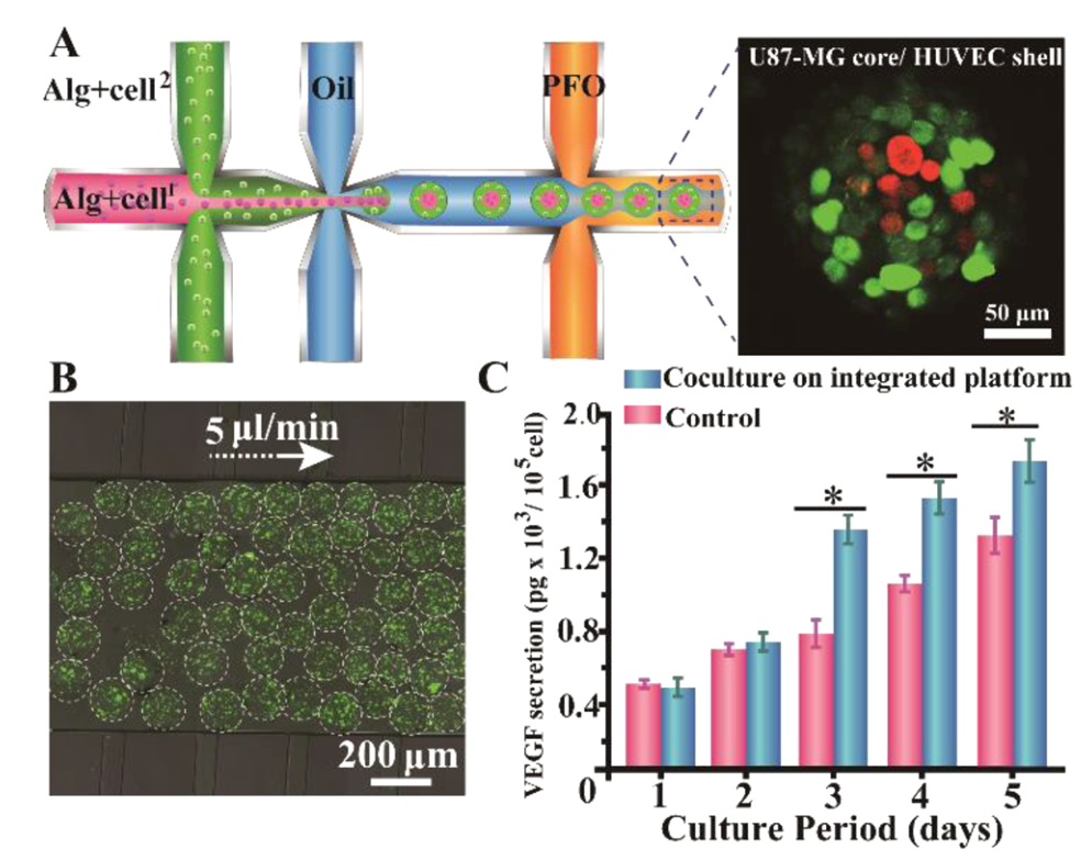 1779258554633347.png 2.png