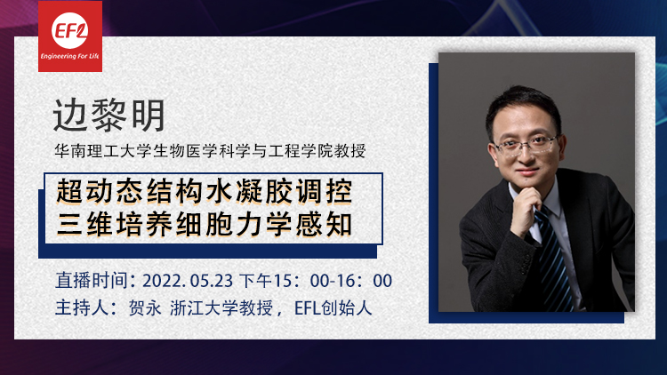视频切片.png