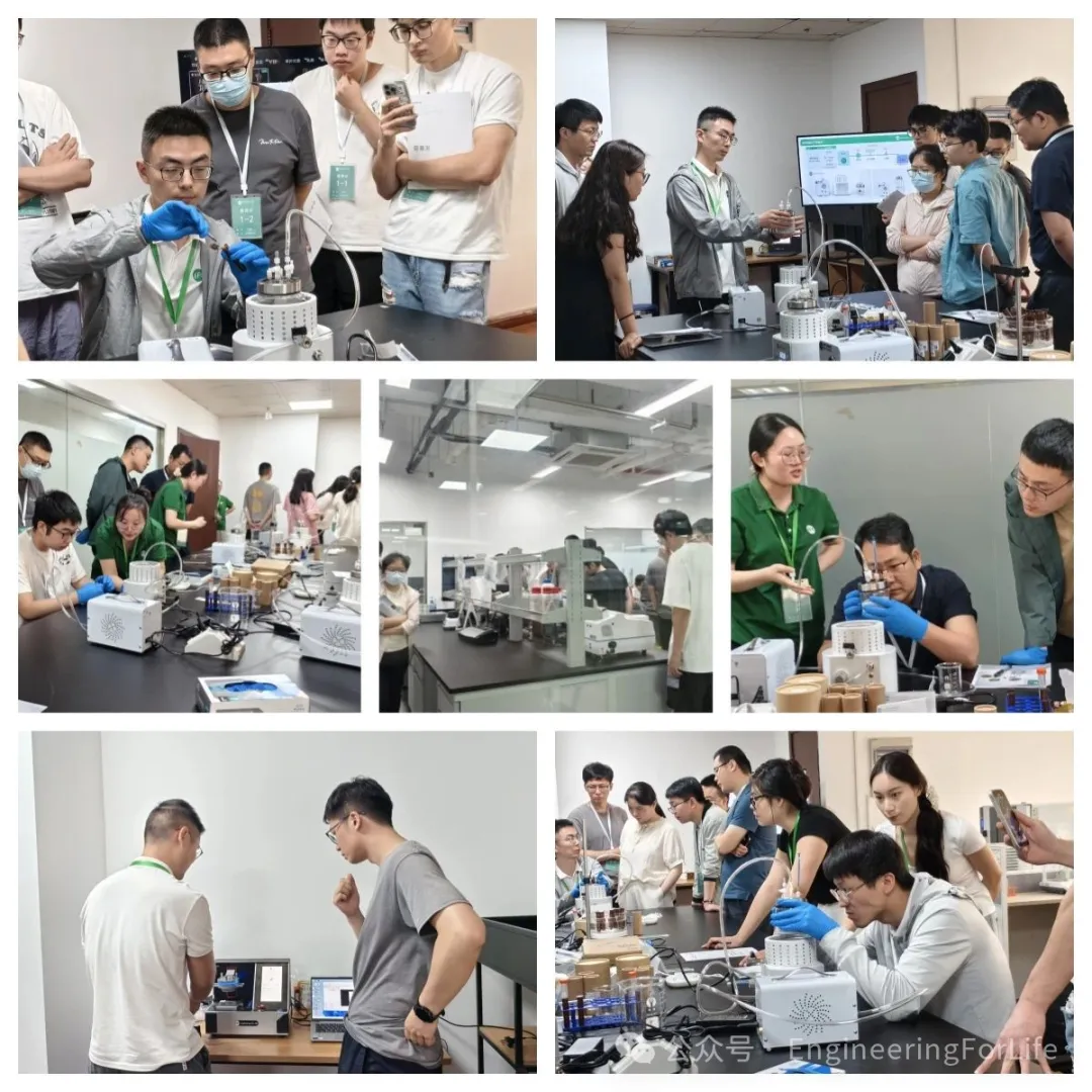 1793091248352639.png 图片3.png