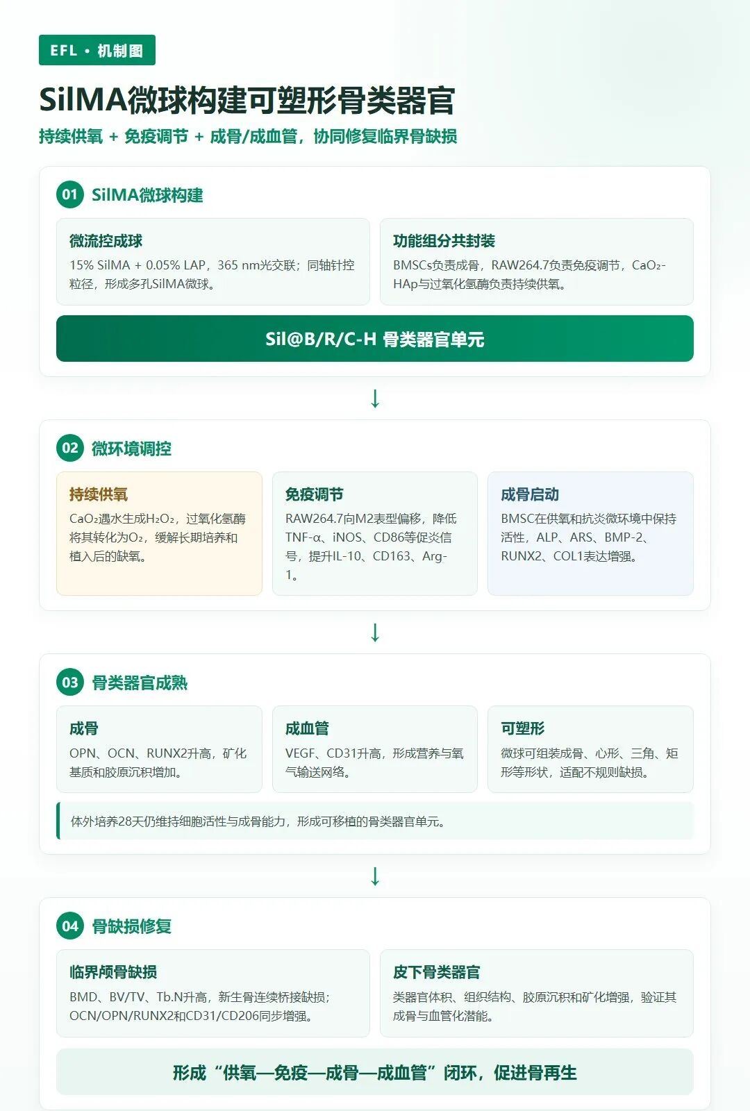 图片11.png