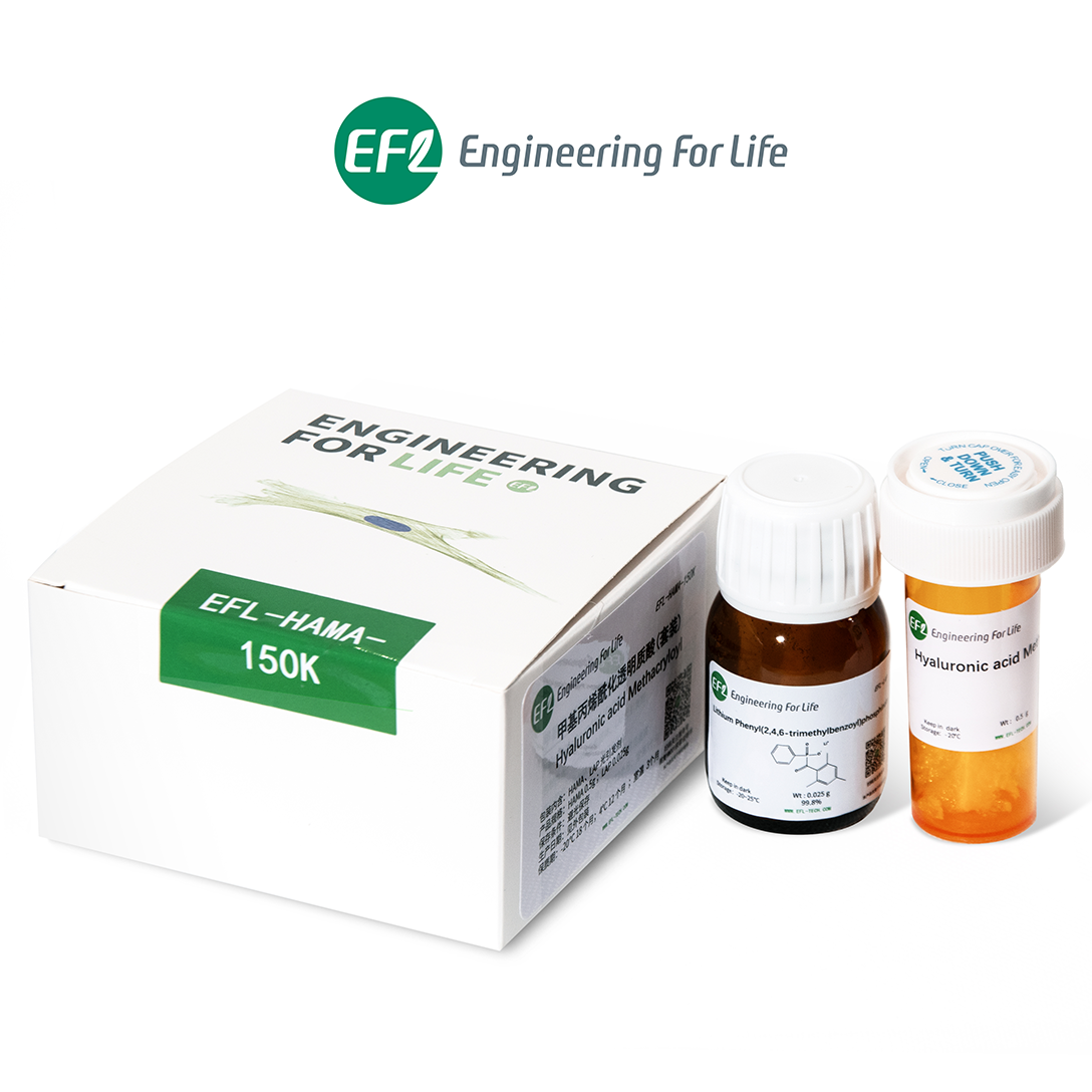 Hyaluronic Acid Methacryloyl (HAMA)