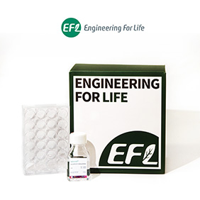 SpheroX™ 24 kit-Ultra-Low Attachment Flat Bottom Plate 24 Well Kit