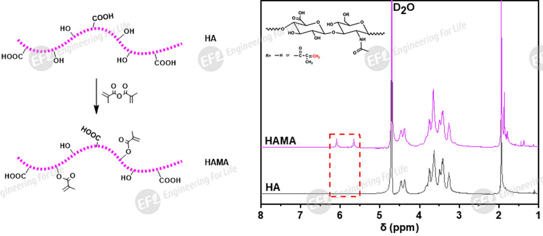 1747809032387854.png 图片2.png