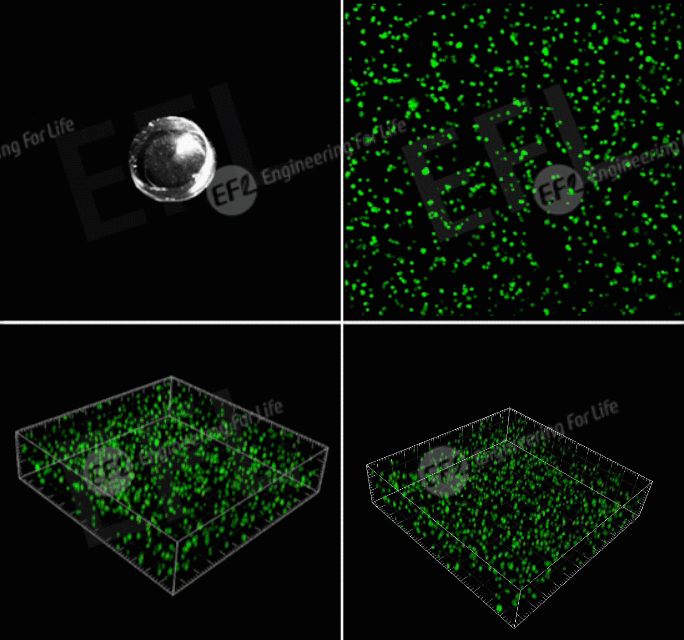 1747809332404907.gif 1747809332404907.gif