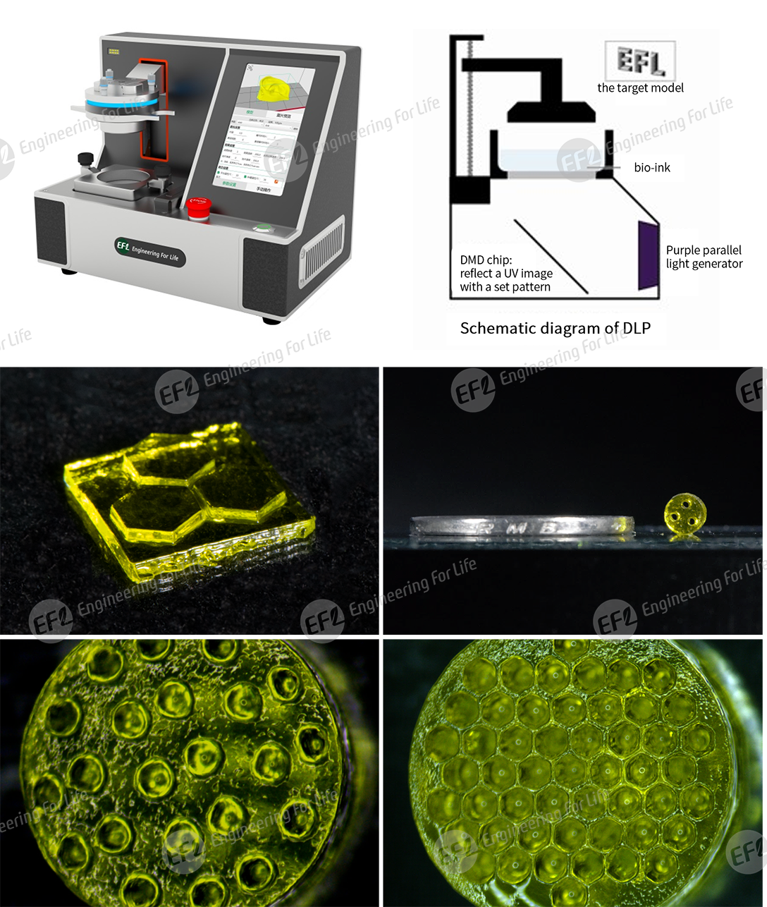 1747809427645745.png 图片7.png