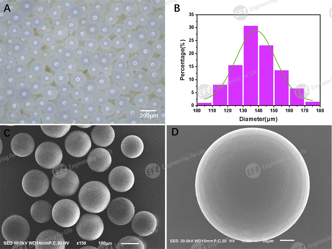 1748420791187580.jpg 图片2.jpg