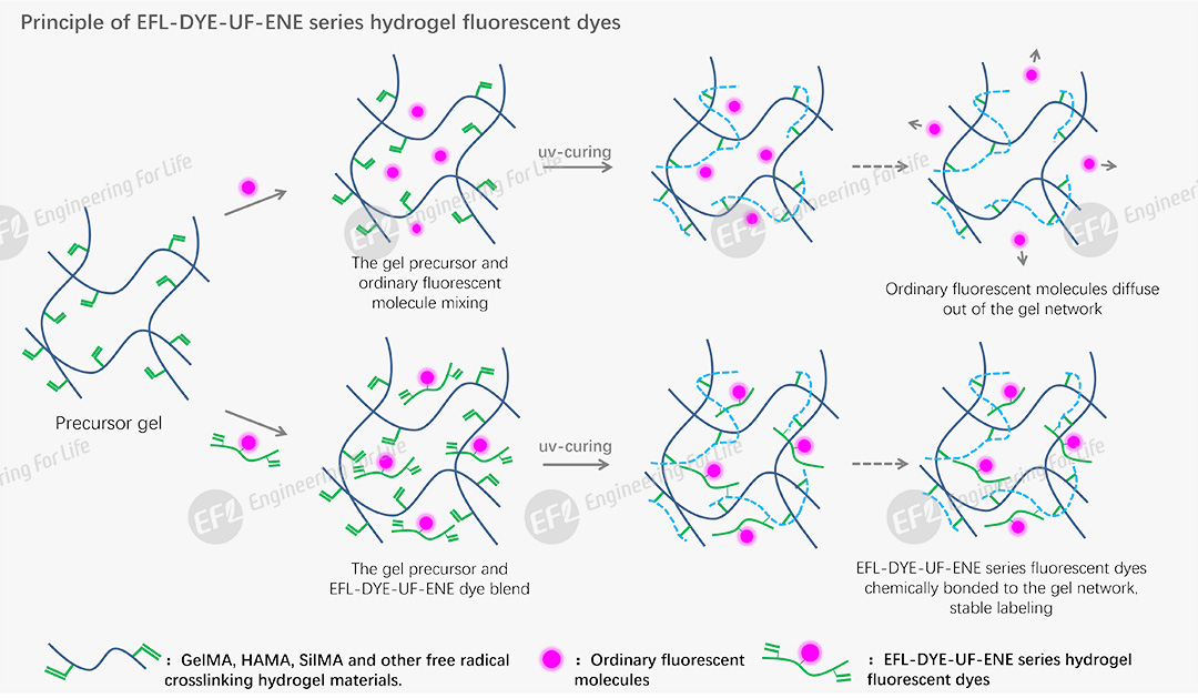 1750146273105020.jpg 图片3.jpg