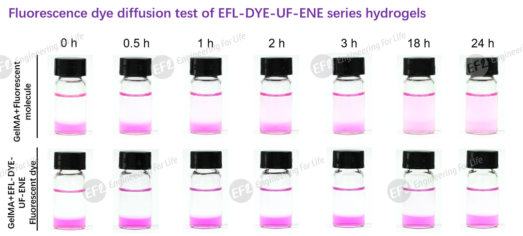 1750146334417949.jpg 图片4.jpg
