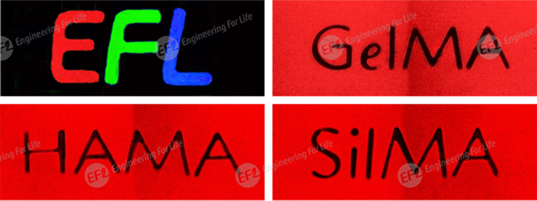 1750146469328441.jpg 图片5.jpg